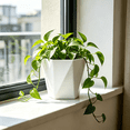 thumbnail image 4 of Large Plastic Flower Pot with Drainage Holes - 16.5x16x14.5cm Thickened Planter for Indoor/Outdoor Use - Balcony, Garden, Windowsill Decor - Set of 1, 4 of 10