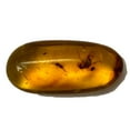 thumbnail image 3 of Genuine Amber Specimen with Insect Inclusions -15/16" x 3/8", 3 of 3