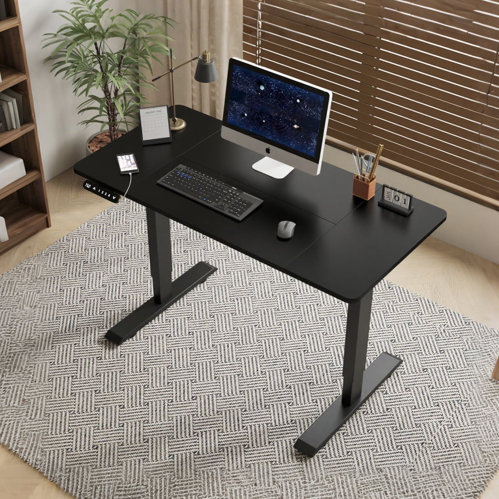 55" x 24" Black Electric Standing Desk, Height Adjustable Sit Stand Desk with Type-C Port for Home Office