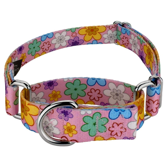 Country Brook Petz - May Flowers Martingale Dog Collar - Floral Collection with 8 Charming Designs (1 Inch, Medium)