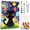 B, variant on QUITEDEW Black Cat Paint by Numbers Kits for Adults,DIY  Oil Painting on Canvas with Frame,Gift and Decor 8x12 Inch