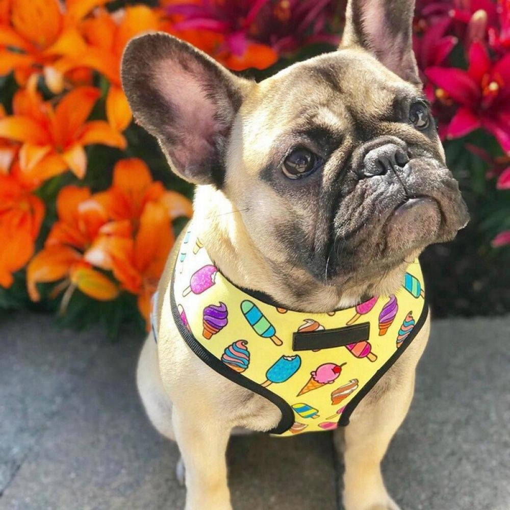 french bulldog reversible harness