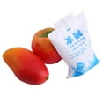 thumbnail image 2 of Herwey Bloc Réfrigérant, 10 Pcs Blocs Réfrigérants Réutilisables Sacs de Refroidissement en Gel pour Aliments Légumes Vin Usage Médical Industriel, Bloc Réfrigérant, 2 of 7