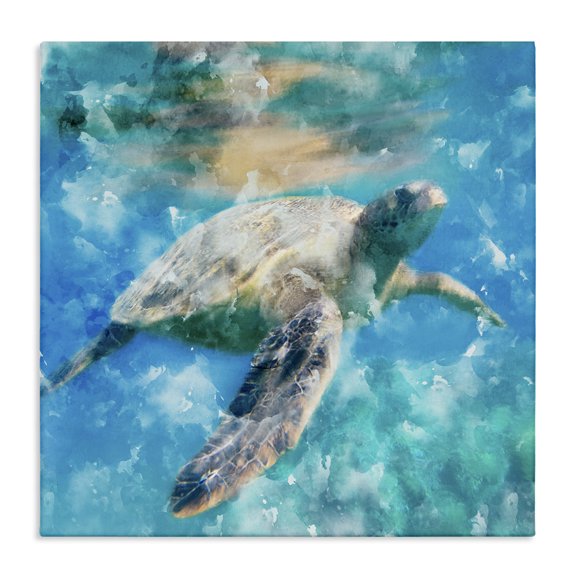 Stupell Industries Tropical Underwater Sea Turtle Canvas Art, 24 x 24, by Kim Allen