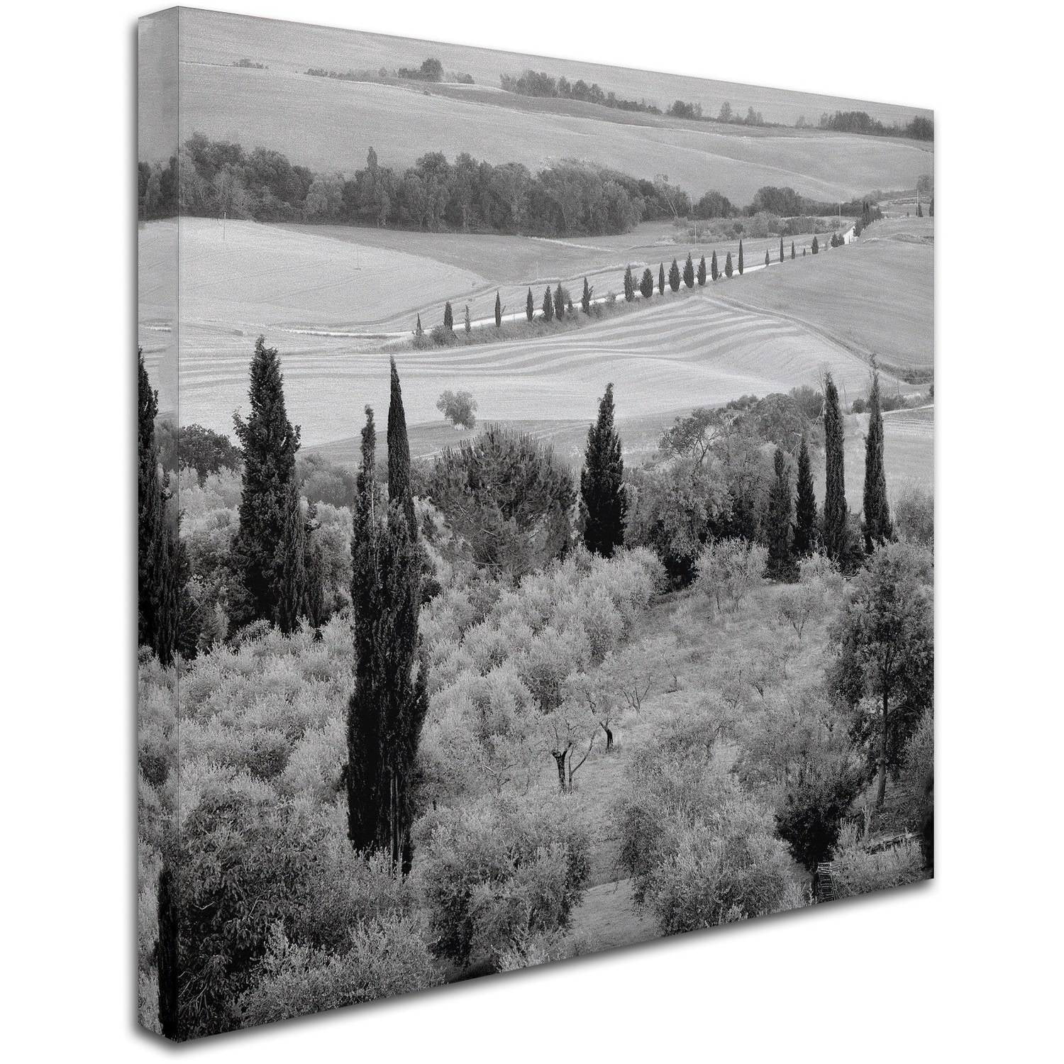 Trademark Fine Art "Tuscany X" Canvas Art by Alan Blaustein