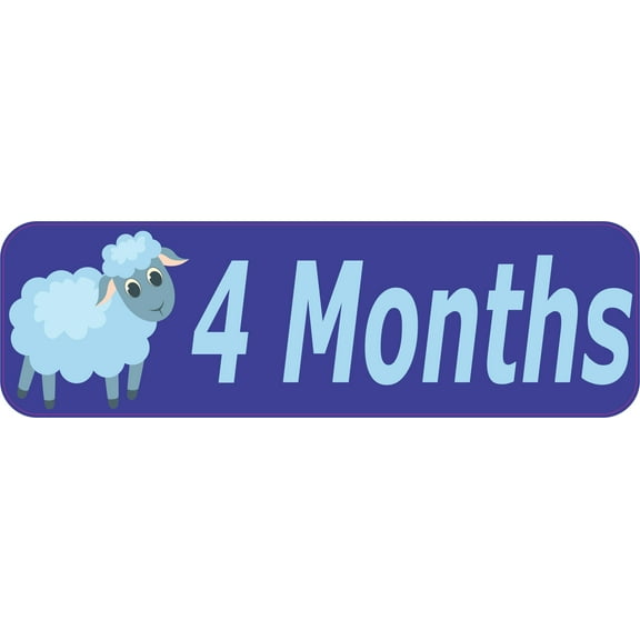10in x 3in 4 Month Magnet Boy Door Magnetic Sign Magnets Signs