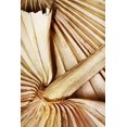 thumbnail image 2 of Aldridge, Ashley 17x24 Gold Ornate Wood Framed with Double Matting Museum Art Print Titled - Natural Dried Palms I, 2 of 4