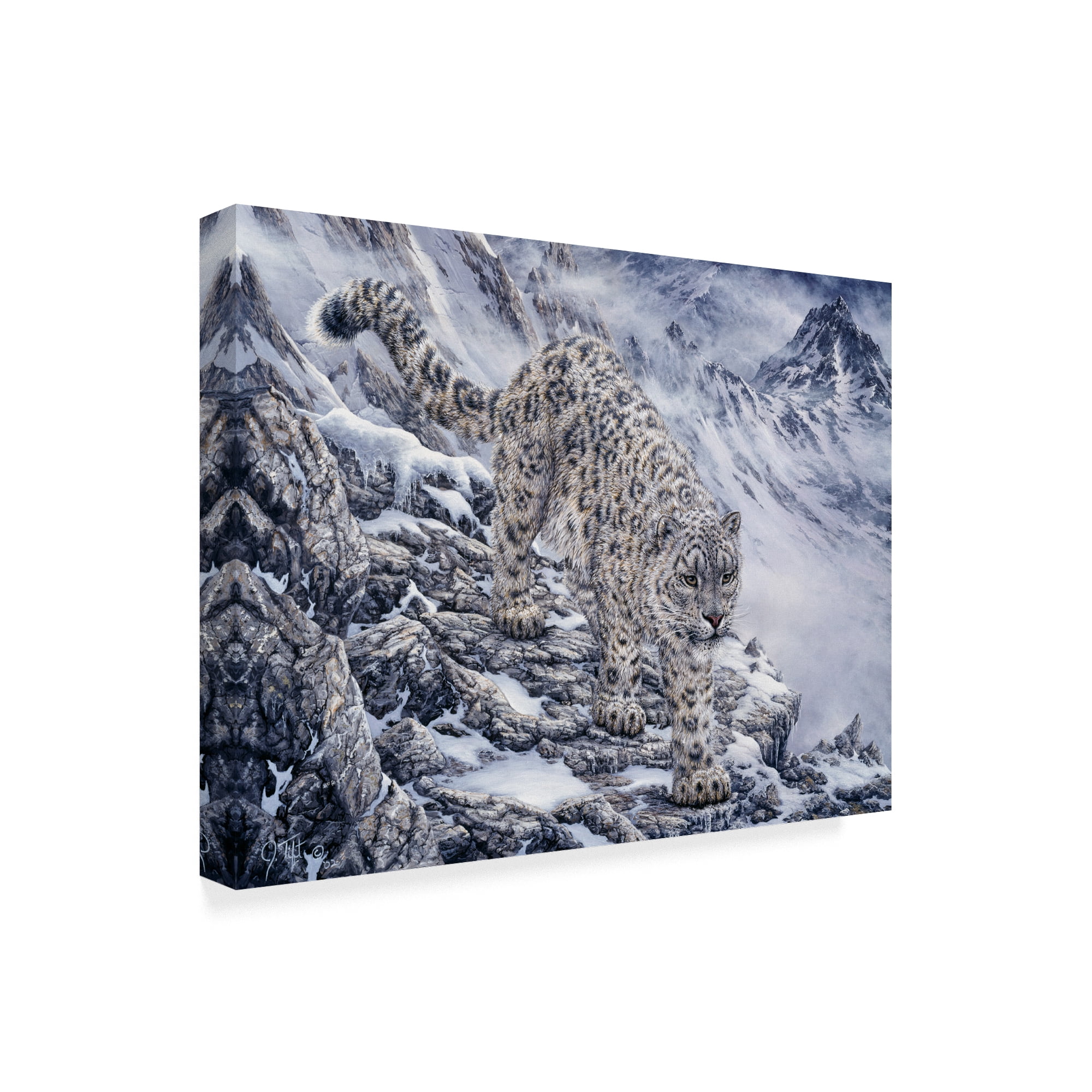 Trademark Fine Art 'Snow Leopard' Canvas Art by Jeff Tift