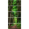 thumbnail image 2 of Dreamy Greenery in Dense Forest - Forest Canvas Art Print, 2 of 3