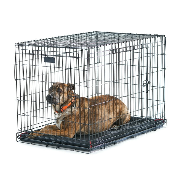 Vibrant Life DoubleDoor Folding Metal Wire Dog Crate with Divider, XL