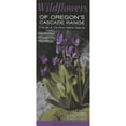 thumbnail image 1 of Pre-Owned Wildflowers of Oregon's Cascade Range: A Guide to Common Native Species (Hardcover) by Daniel Mathews, 1 of 1