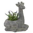 thumbnail image 6 of Northlight 16" Gray Seated Giraffe Outdoor Garden Planter, 6 of 6