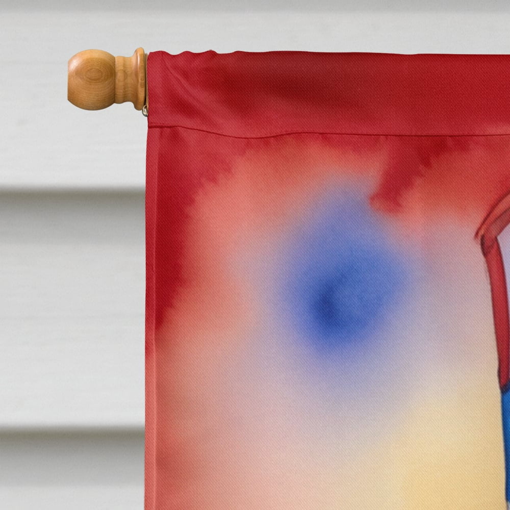 Saint Bernard Patriotic American House Flag 28 in x 40 in