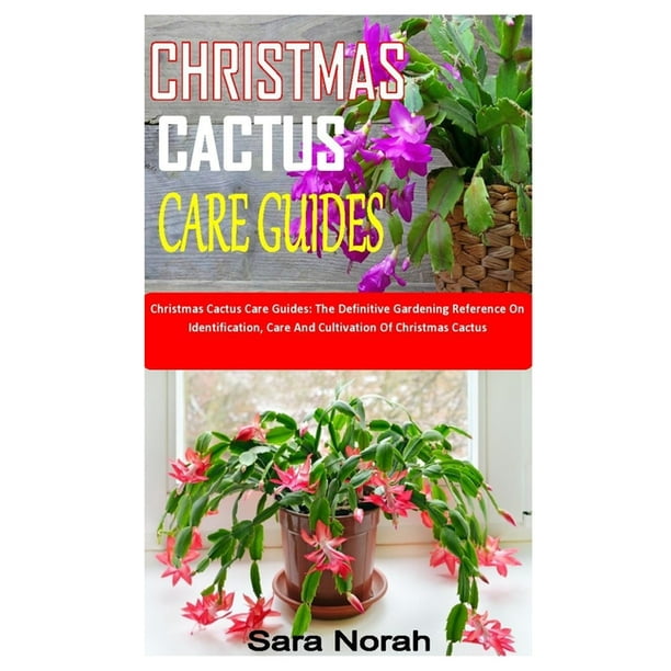 Christmas Cactus Care Guides : Christmas Cactus Care Guides: The Definitive Gardening Reference On Identification, Care And Cultivation Of Christmas Cactus (Paperback) - Walmart.com