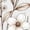 White, variant on UNISHE Women's White Wildflower Bouquet Graphic V-Neck Short Sleeve T-Shirt Casual Botanical Tee