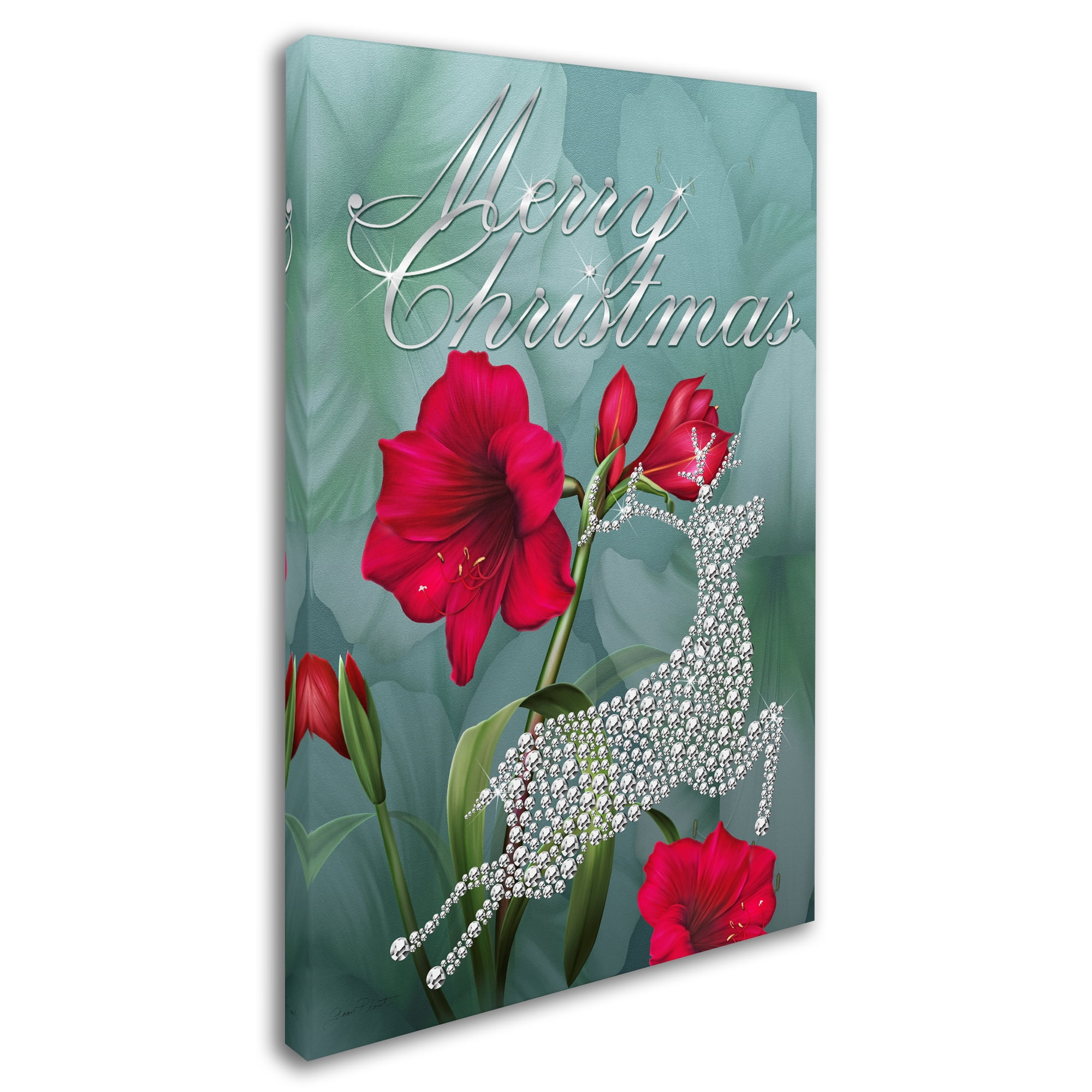 Trademark Fine Art 'Botanical Christmas' Canvas Art by Jean Plout