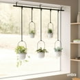 Umbra Triflora Hanging Planter for Window, Indoor Herb Garden, Set of 5