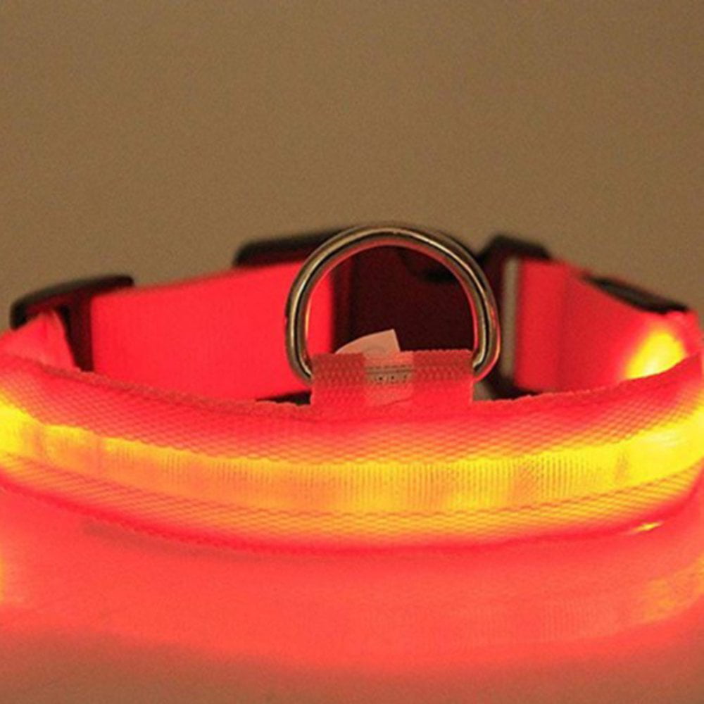 Fluorescent Collars Pet Supplies LED Light Dog Collar Pet Night Safety