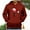 Red, variant on Ediodpoh Christmas Hoodies for Men 2024 Red Wine Glasses with Santa Hats Graphic Sweatshirts Pullover Sweater Winter Clothes Sweatshirt for Men Red XXL