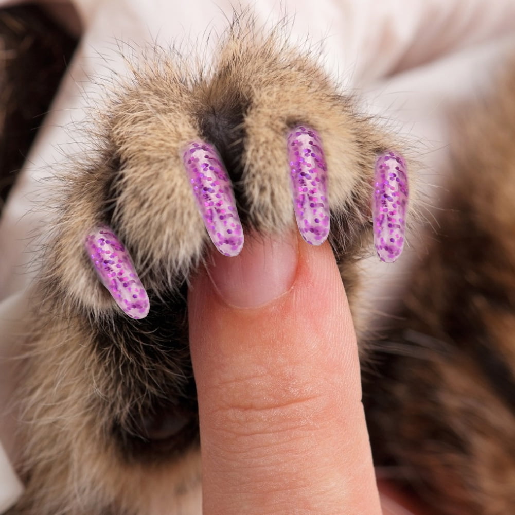 Meloloy 癒しの猫爪 Healing Cat Paws Cat Nail Cover, Wrap Gold Cat Claw , Durable Cat Paw Cover for Cat