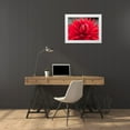 thumbnail image 3 of Frank, Assaf 32x25 White Modern Wood Framed Museum Art Print Titled - Dahlia Flowers, 3 of 4