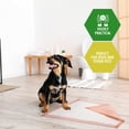 thumbnail image 4 of Almohadillas de Adiestramiento para Perros MED PRIDE CON Atrayente Paquete de 50, 4 of 5
