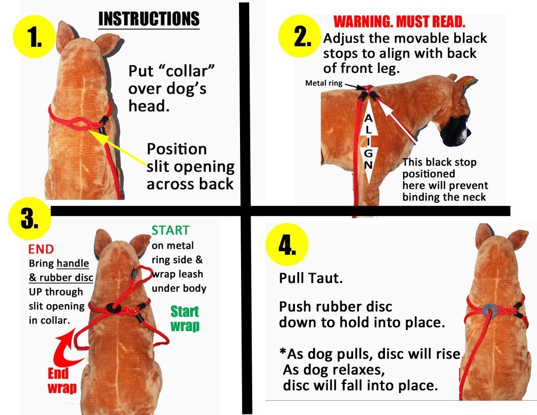 slip harness leash