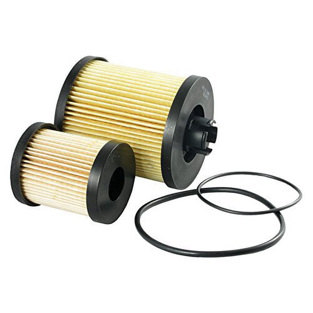 ECOGARD XF55590 Premium Diesel Fuel Filter (Set of 2) Fits Ford F-250 Super Duty 6.0L DIESEL 2003-2007, F-350 Super Duty 6.0L DIESEL 2003-2007, Excursion 6.0L DIESEL 2003-2005