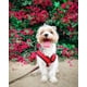 thumbnail image 2 of Arnés para perros Gooby Comfort X Head en rojo para perros medianos, 2 of 7