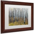 thumbnail image 2 of Trademark Fine Art 'Aspen Trees in Autumn' Canvas Art by Pierre Leclerc, White Matte, Wood Frame, 2 of 4