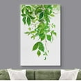 thumbnail image 2 of wall26 Canvas Print Wall Art Watercolor Vibrant Green Hanging Leaves Nature Wilderness Illustrations Modern Rustic Scenic Multicolor Colorful for Living Room, Bedroom, Office - 24"x36", 2 of 5