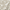 Beige, variant on Mainstays Paisley Floral Rust Quilt, Full/Queen