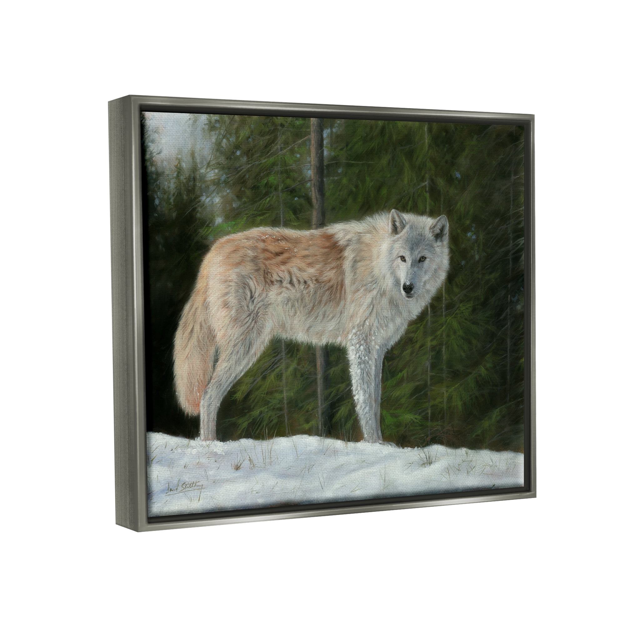 Stupell Industries Wild Coyote Wolf Gazing Snowy Forest Clearing Painting Luster Gray Floating Framed Canvas Print Wall Art, Design by David Stribbling