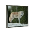 thumbnail image 5 of Stupell Industries Wild Coyote Wolf Gazing Snowy Forest Clearing Painting Luster Gray Floating Framed Canvas Print Wall Art, Design by David Stribbling, 5 of 5