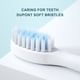 thumbnail image 5 of Cepillo de dientes eléctrico sónico con 6 modos para adultos, temporizador, cepillo de dientes automático con vibrador, blanqueador, resistente al agua IPX7, 6/8 cabezales de cepillo, 5 of 5