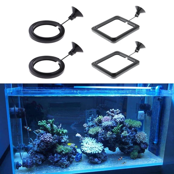4 Pack Aquarium Fish Tank Food Feeding Feeder Feeding