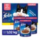 thumbnail image 1 of Croqueta para Gato Felix Salmón 12 pack Purina Felix Felix Salmón, 1 of 4