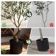 thumbnail image 4 of OLIVIVI Olive Trees Artificial Indoor, 8FT Tall Faux Olive Tree with BlackTall Planter, Artificial Plants with Natural Wood Trunk and Lifelike Fruits for Home Office Decor, 4 of 12
