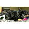 thumbnail image 2 of Assisi LOOP 2.0 Manual tPEMF Device for Dogs, Cats, and Horses, 2 of 7