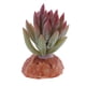 thumbnail image 1 of Plantas para acuarios, decoración de reptiles - Terrario de reptiles F, 1 of 8