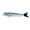 01 Maiwashi, variant on Little Jack Bilhouette Brush Tail Popper Lure 160mm / 58g