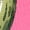 Hot Pink, variant on Inktastic Dill-lightful Pickle Girls Baby T-Shirt