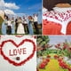 thumbnail image 4 of 3000PCS Rose Petals, Flower,Rose Petals for Bed & Valentines Decorations,Marry Me Decorations,Artificial Rose Petals, 4 of 5