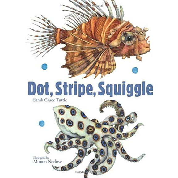 Pre-Owned Dot, Stripe, Squiggle (Board book) 1568463251 9781568463254
