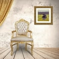 thumbnail image 3 of Green, Jenny 15x15 Gold Ornate Wood Framed with Double Matting Museum Art Print Titled - Fat Cow in the Field, 3 of 4