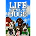 thumbnail image 2 of America Forever Life is Better with Dogs Summer Garden Flag 12.5 x 18 inches American Red Barn Farm Animals Pets Lover Double Sided Seasonal Yard Outdoor Decorative Cute Puppy Garden Flag, 2 of 5