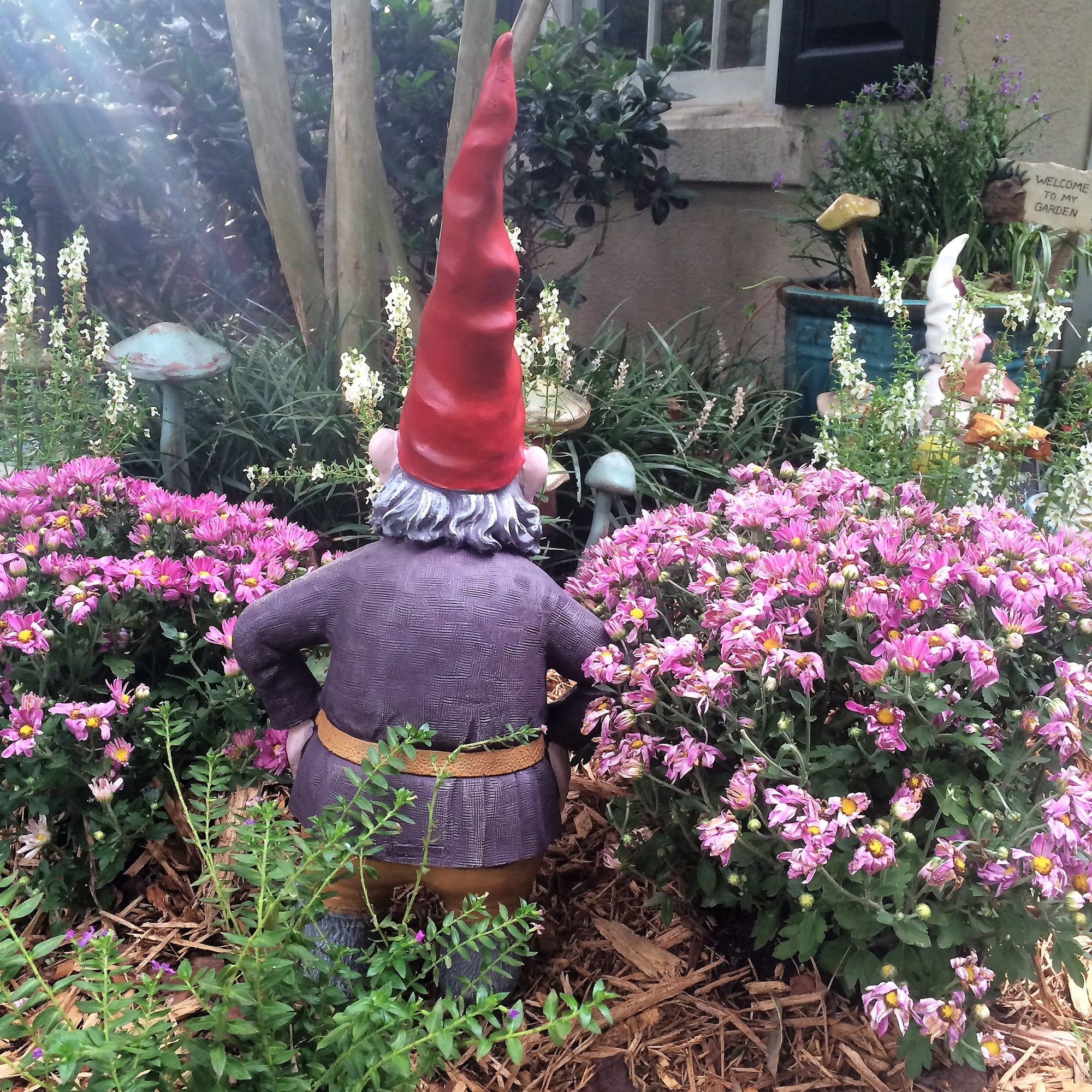Extra Large Garden Gnomes Fasci Garden Extra large garden gnomes fasci garden