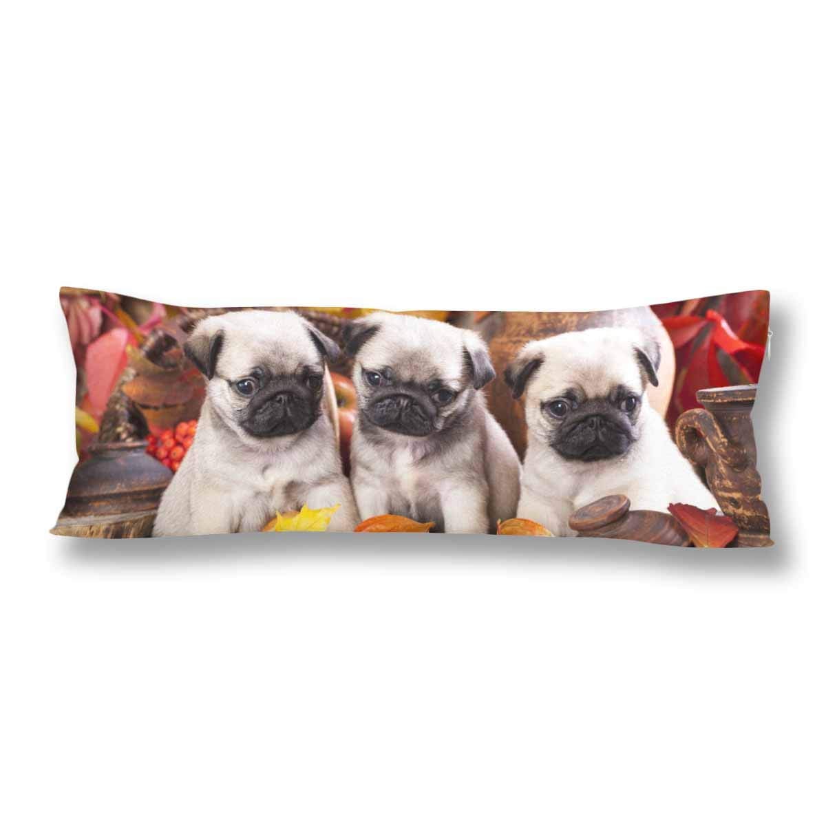 GCKG Cute Pug Puppy Dog Autumn Leave Body Pillow Covers Case Protector