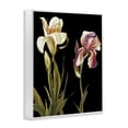 thumbnail image 4 of Stupell Industries Alluring Iris Blooms Botanical & Floral Painting White Framed Art Print Wall Art, 11 x 14, 4 of 10