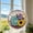 D, variant on Cififendec Stained Puzzles Suncatcher, 7.4", Transparent Window Hanging Puzzle Sun Catcher Garden Decoration, Great for Catch Natural Light and Colorful Glows
